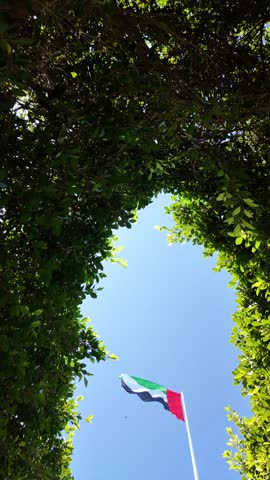 A vibrant view of the UAE flag waving proudly among lush green trees against a bright blue sky
