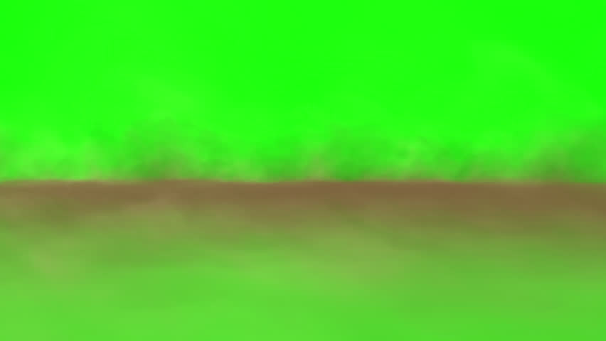 Shutterstock Video