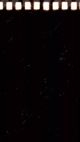 Shutterstock Video