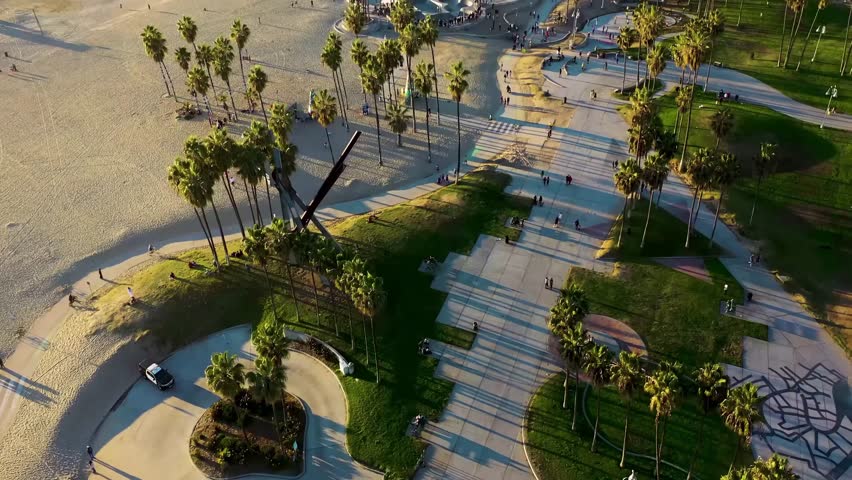 Shutterstock Video