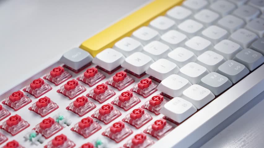 Shutterstock Video