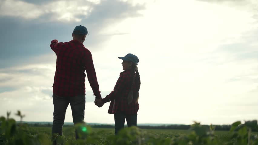 Family soybean field at sunset. Father daughter hold hands, discussing soybean business. Family bonding over farm business. Teaching next generation about soybean farming. Sunset walk in soybean field