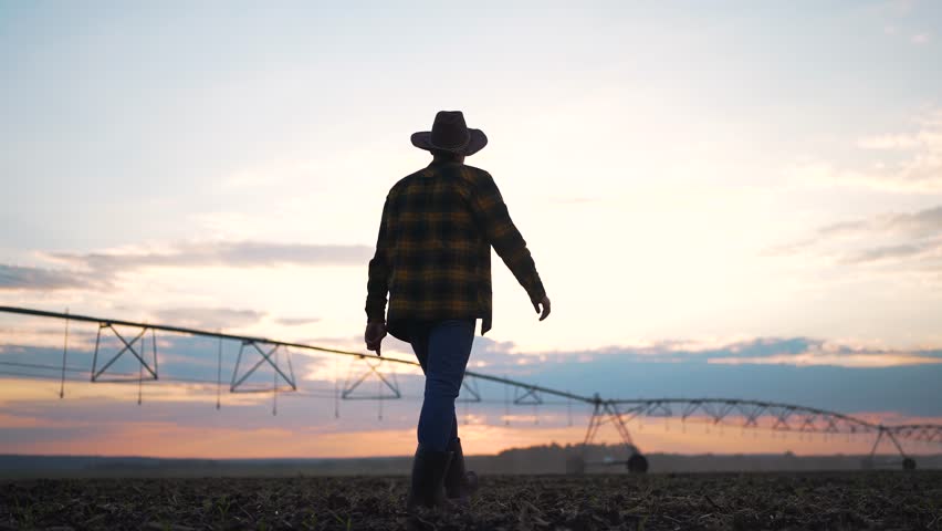 Farmer walking on farm at sunset. farmer inspecting crops during sunset. Agricultural lifestyle on farm. Farmer in boots and hat on farmland. sunset over farm fields. Farmer evening routine on farm.