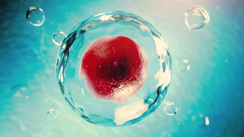 In vitro fertilization or artificial insemination procedure. 3D Illustration