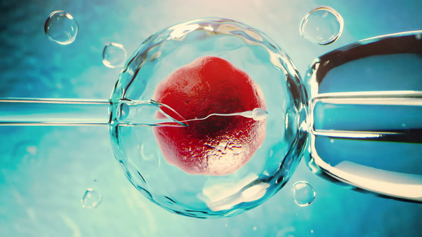 In vitro fertilization or artificial insemination procedure. 3D Illustration