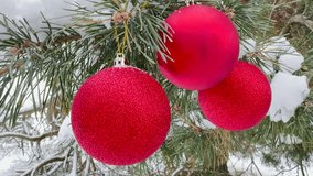 Christmas tree decorations, red baubles on a pine tree, festive holiday ornaments, winter holiday decor, snow-covered branches, outdoor Christmas decorations, New Year's celebration, holiday spirit in - Powered by Shutterstock - Get 15% off with code: PIKWIZARD15