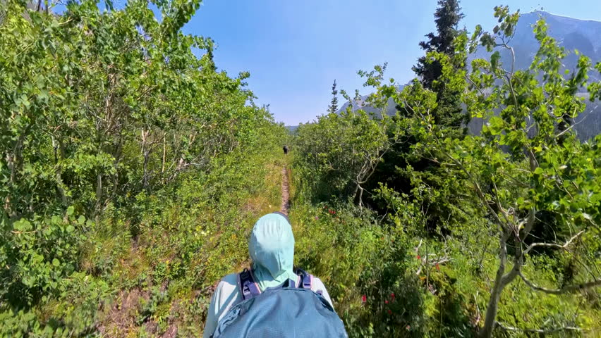 Woman Backpacks through Windy Trees in Glacier National Park