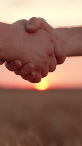 Handshake, joint work of people. Business people shake hands outdoor in sun. Male farmers shaking hands, wheat field. Business teamwork. Partners agreed concluding deal, sign of consent to shake hands