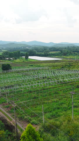 Lush agricultural fields with greenhouses and various crops thrive near a mountain range