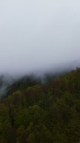 Vertical video Aerial view of misty green mountains covered with lush forest, fog drifting through hills under a cloudy sky, creating a beautiful natural landscape perfect for travel, adventure, and