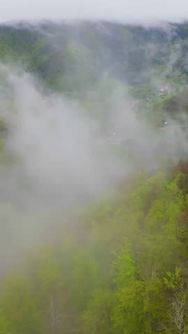 Vertical video Aerial view of misty green mountains covered with lush forest, fog drifting through hills under a cloudy sky, creating a beautiful natural landscape perfect for travel, adventure, and