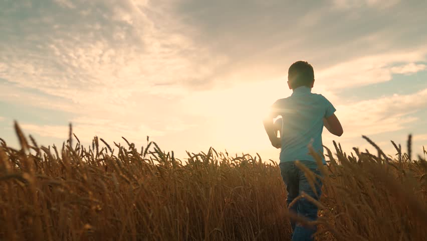 Children are friends is runs through grain field, kid dream. Boys children are playing running through wheat field. Children friends run to sky through field of yellow wheat. Kids travel countryside