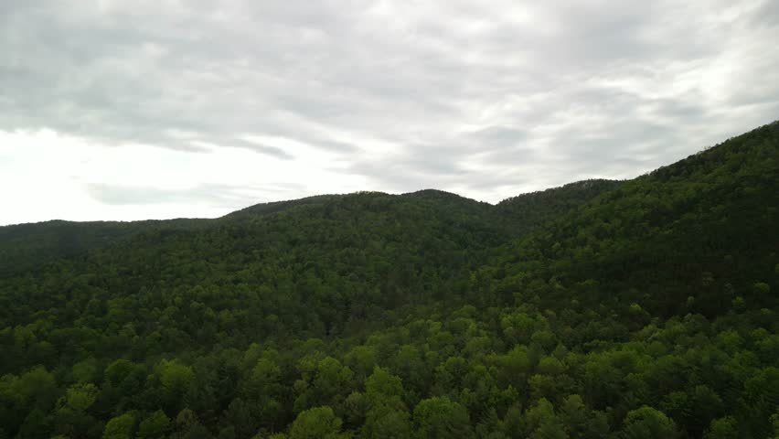 Aerial over Pisgah National Forest mountains and trees in North Carolina in springtime