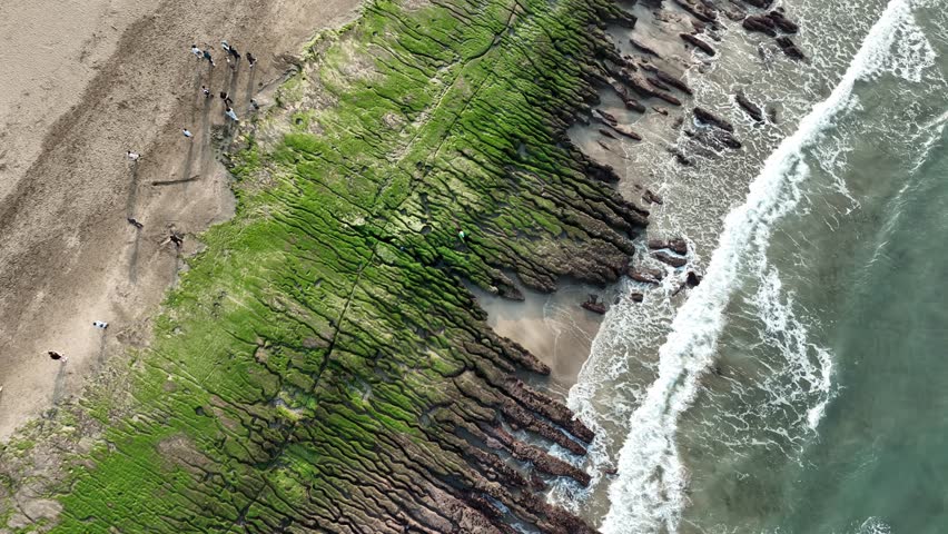 Aerial view of Laomei Green Reef along Taiwan’s northeast coast, featuring algae-covered rocks, sandy beach, and people walking along the shore.