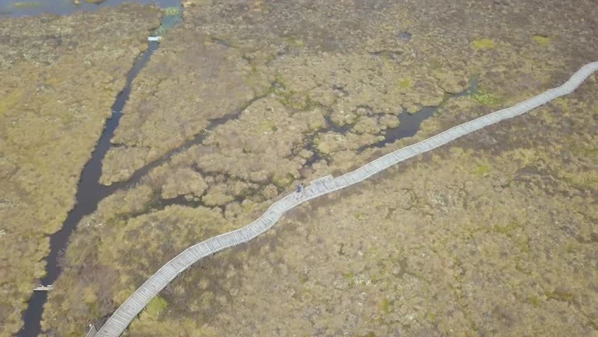 Aerial Drone Follows Lone Hiker Along Green Trail by Scenic Scotland Lake