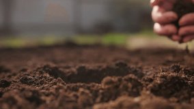 Farmer hands planting green seedlings of vegetable crops in fertile soil close-up - Powered by Shutterstock - Get 15% off with code: PIKWIZARD15