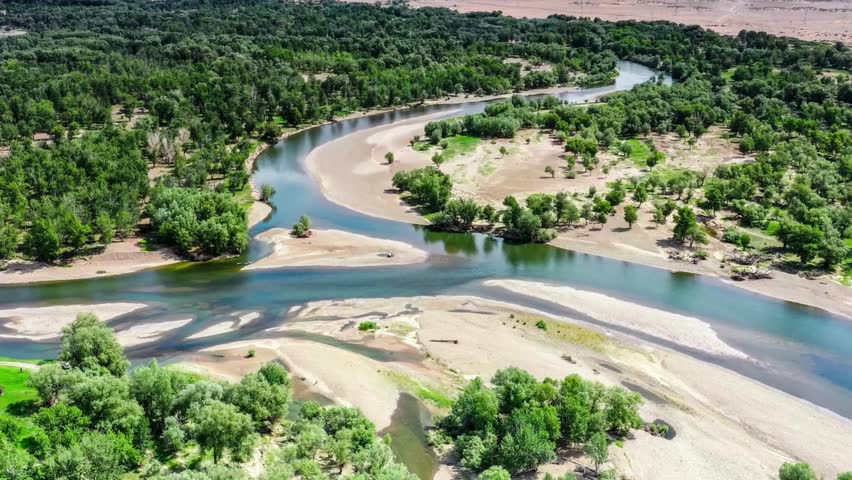 Aerial View of River Bend and Lush Green Vegetation