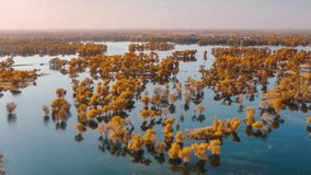 Aerial View of Autumnal Flooded Forest Landscape - Powered by Shutterstock - Get 15% off with code: PIKWIZARD15