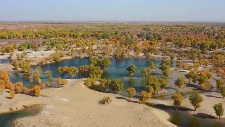 Aerial View of Autumnal Landscape with Lake and Trees