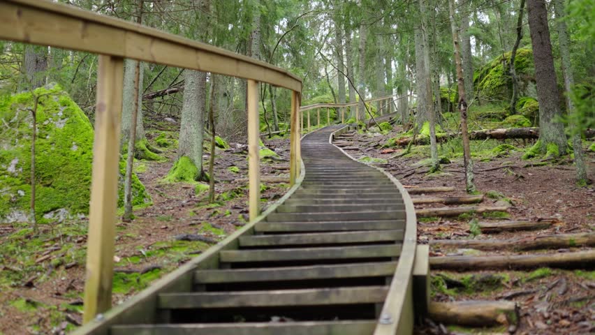 Wooden stairs in a spruce tree forest. Hiking trail