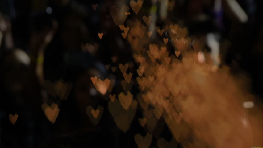 Shutterstock Video
