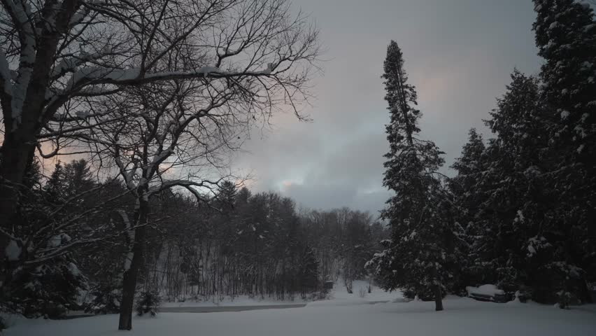 A serene winter landscape in Muskoka, Ontario, with snow-covered trees under a moody sky