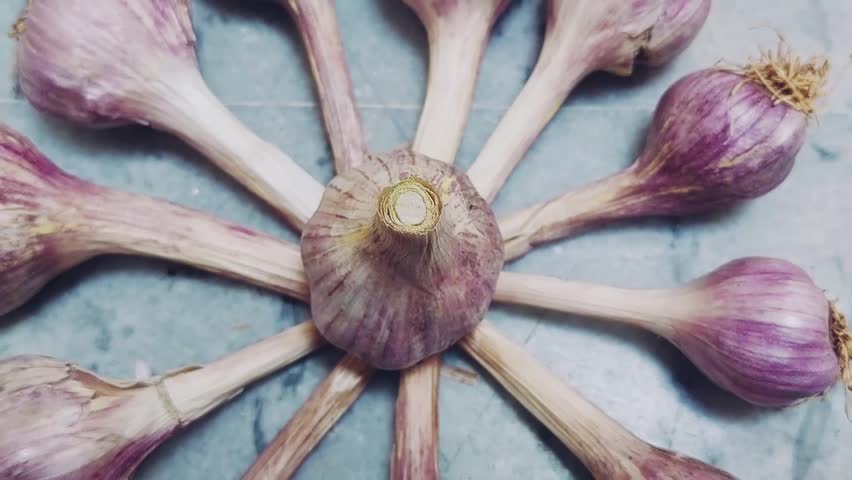 fresh organic garlic from punjab farms closeup view