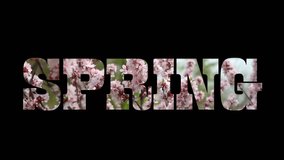 Spring text animation background. Lettering typography. Seasons Greetings - Powered by Shutterstock - Get 15% off with code: PIKWIZARD15