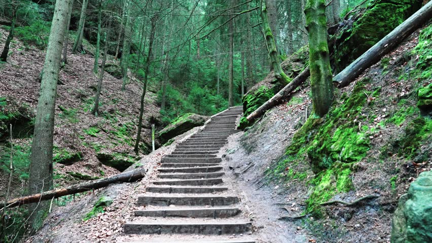 Hiking trails in forest. Hiking in German forests. Path to the Saxony Switzerland, Germany. Hiking trails with old wooden steps. Adventure time. Travel, discovery Concept. 