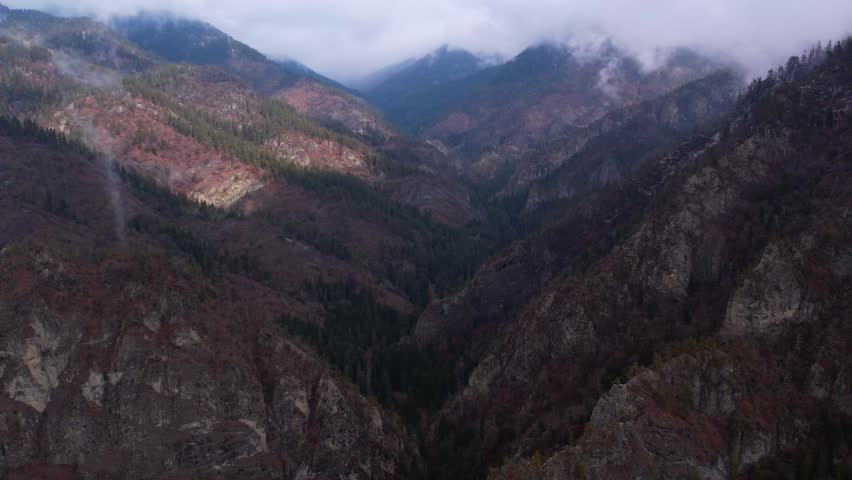 Aerial view of a tree on rocky mountain autumn season