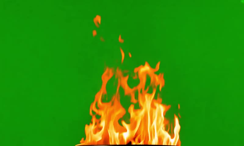Shutterstock Video