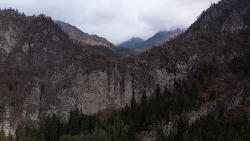 Aerial view of a tree on rocky mountain autumn season