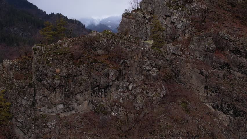 Aerial view of a tree on rocky mountain autumn season dolly zoom