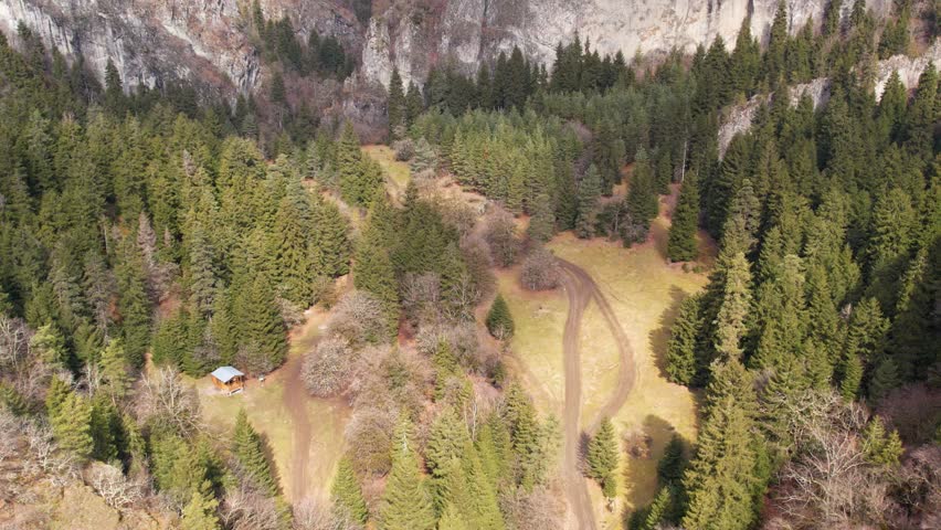 Aerial drone view of the boreal forest pine trees as they stretch out across a hazy, smoke filled valley, Rocky Mountains. road in forest