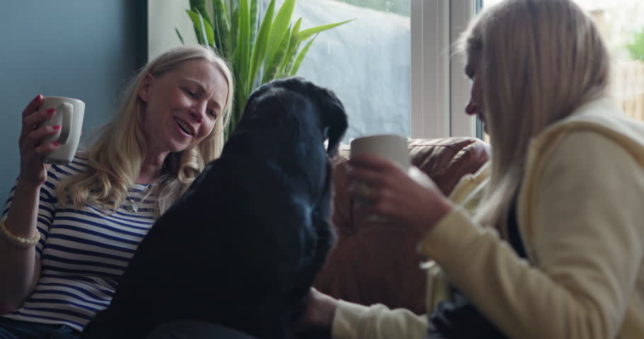 Dog, happy friends and home women rub, playing and relax wellness care, support and love for animals loyalty. Coffee break cup, living room couch or friendly owner bonding together with apartment pet