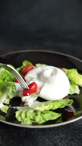 Salad burrata cheese buffalo milk cheese salads dish fresh gourmet food background on the table rustic food top view copy space