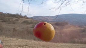 A ripe orange appears to float mid-air while being spray-painted red with an aerosol can, set against a scenic outdoor landscape. Ideal for creative, conceptual, and surreal visuals. - Powered by Shutterstock - Get 15% off with code: PIKWIZARD15