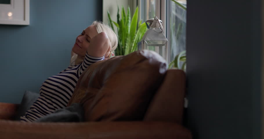 Shutterstock Video