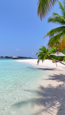 Tropical white sand beach with calm turquoise water and palm trees under blue sky, serene atmosphere for summer travel, hotel, resort, family vacation