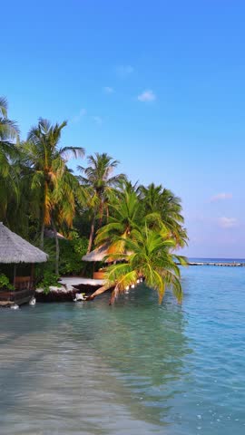 Aerial view of luxury tropical resort with villas and pools hidden in lush palm trees by the beach, paradise vacation in maldives, summer escape, eco island retreat