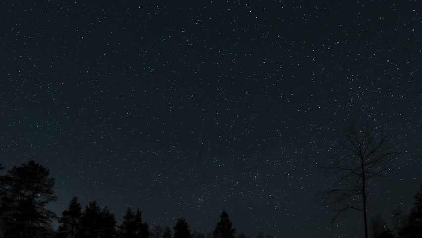 Experience a peaceful night in the forest, beneath a vast sky filled with stars and visible constellations, creating a tranquil atmosphere. The stars move across the night sky.