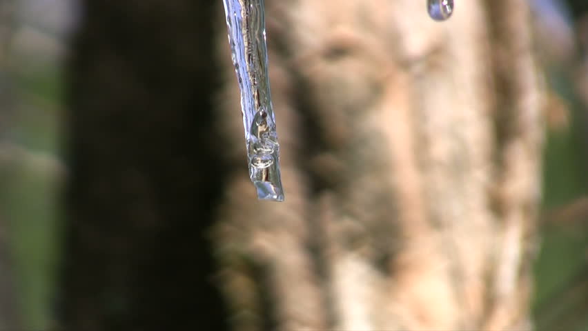 Bubbles in an icicle