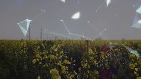 Digital globe floating above yellow crop field with wind turbines and connecting network lines. Landscape, renewable, technology, sustainability, digital, eco-friendly, environmental - Powered by Shutterstock - Get 15% off with code: PIKWIZARD15