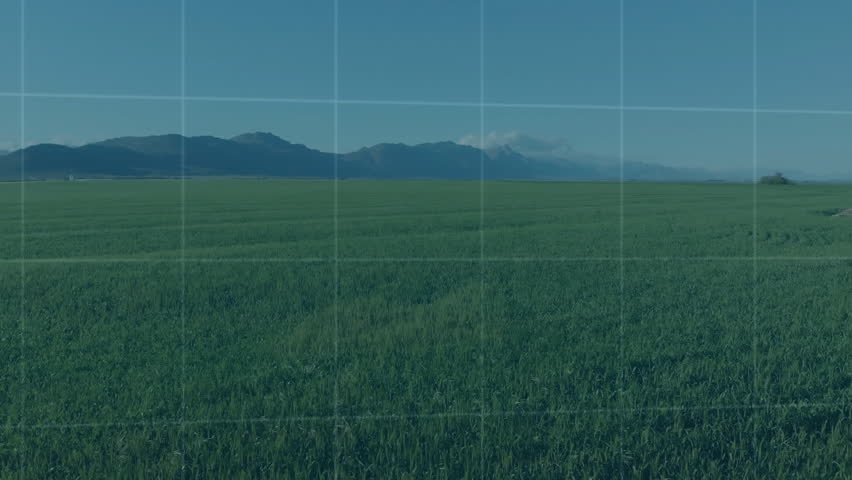 Digital world map grid hovering over green crop field with blue line graph showing data points. Agriculture, data visualization, analytics, eco, environmental, technology, innovation - Powered by Shutterstock - Get 15% off with code: PIKWIZARD15