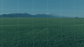 Digital world map grid hovering over green crop field with blue line graph showing data points. Agriculture, data visualization, analytics, eco, environmental, technology, innovation - Powered by Shutterstock - Get 15% off with code: PIKWIZARD15