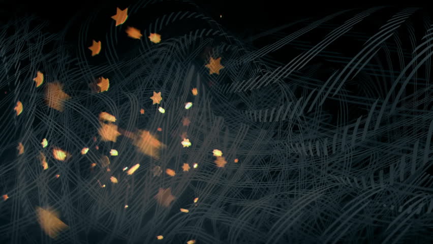 Shutterstock Video