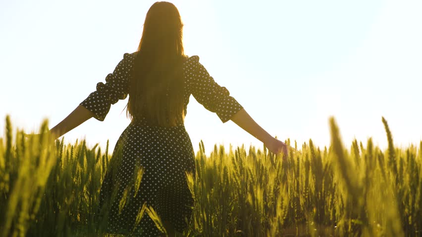 Happy girl relaxes, walks in field of wheat with ears. Young woman enjoys nature in wheat field. Farmer woman in wheat field. Girl touches ears of wheat with her hand in field in countryside. Sun, day