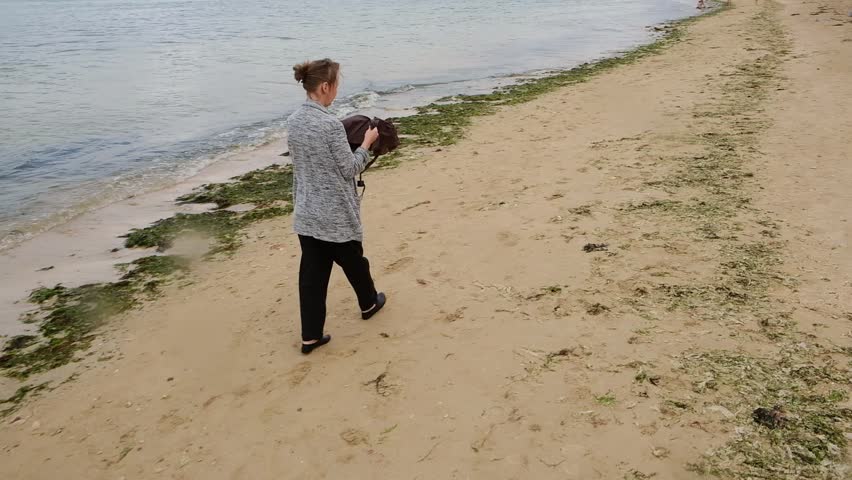 Woman strolling along sandy beach with dog by tranquil sea.