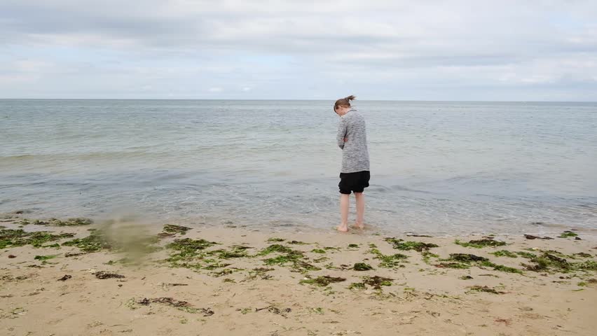 Tranquil seaside stroll with dog along seaweedlined shoreline.