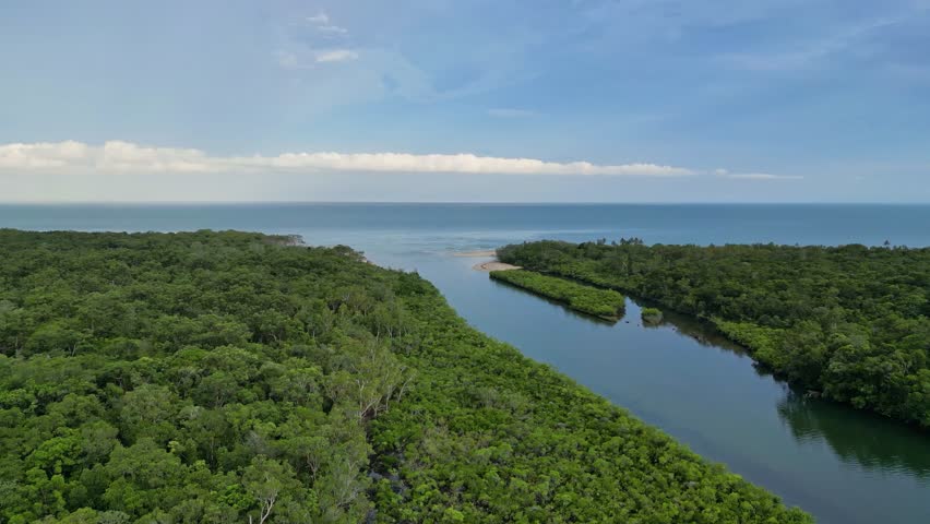 Aerial view of rivers in the middle of tropical Daintree rainforest in Queensland Australia on a beautiful sunny day. High quality 4k footage